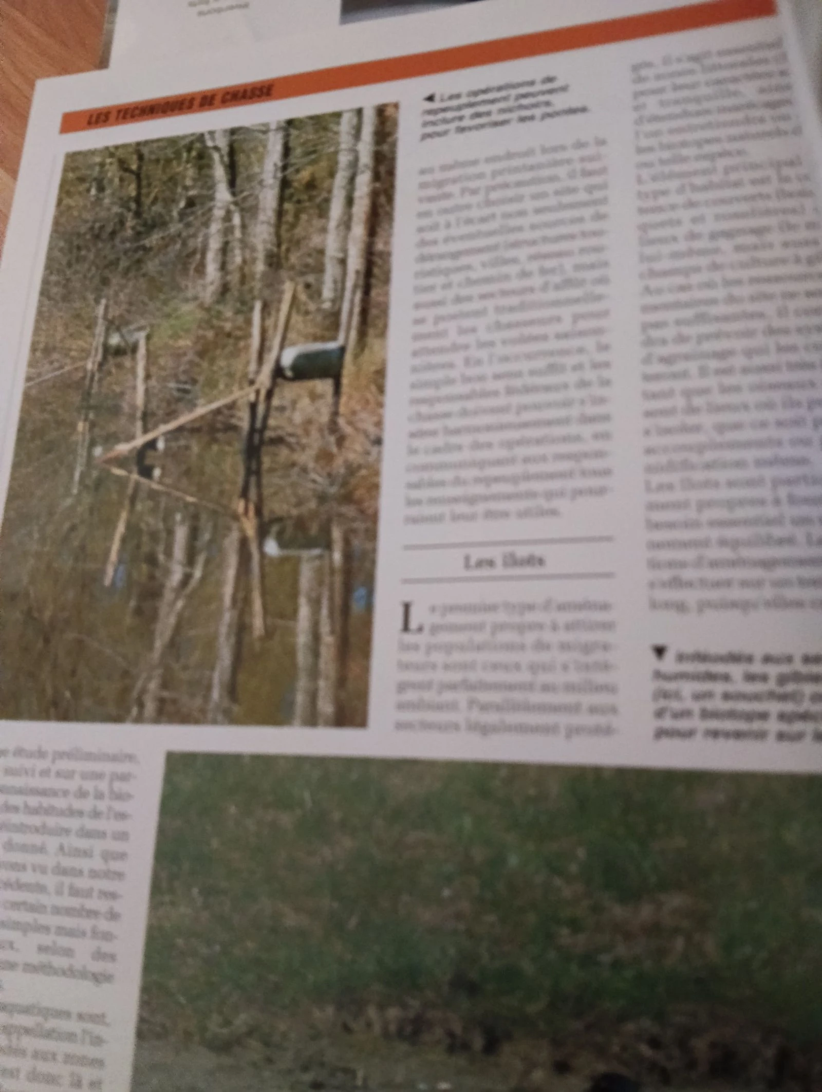 Livro caçador prático – photo 2